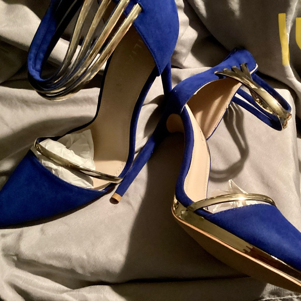 Blue with gold accents